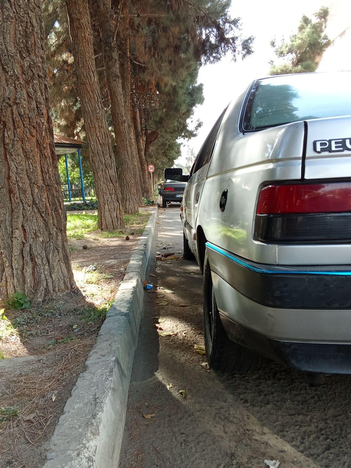 پژو 405 GLi - دوگانه سوز CNG - 1386