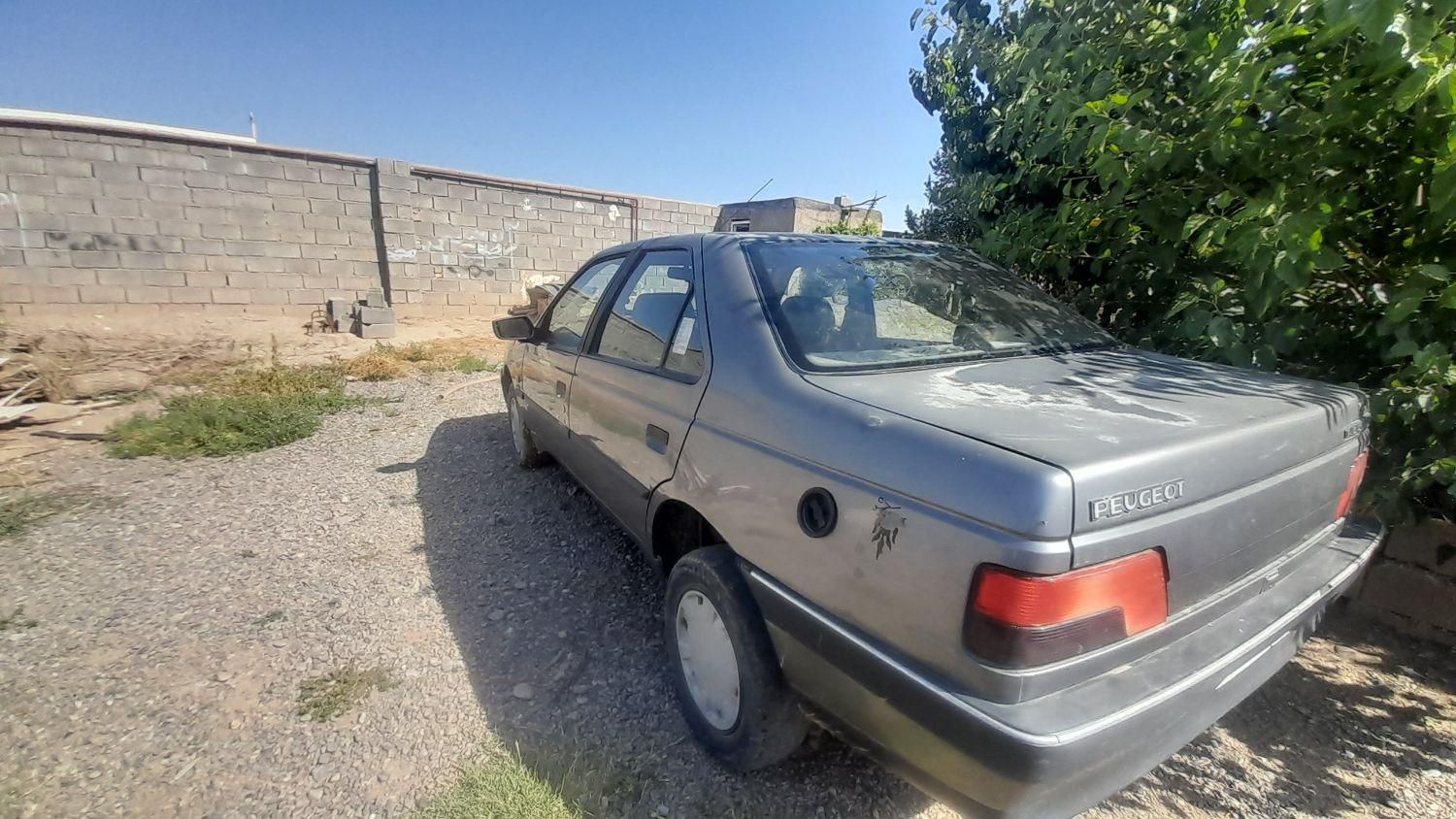 پژو 405 GL - دوگانه سوز CNG - 1391