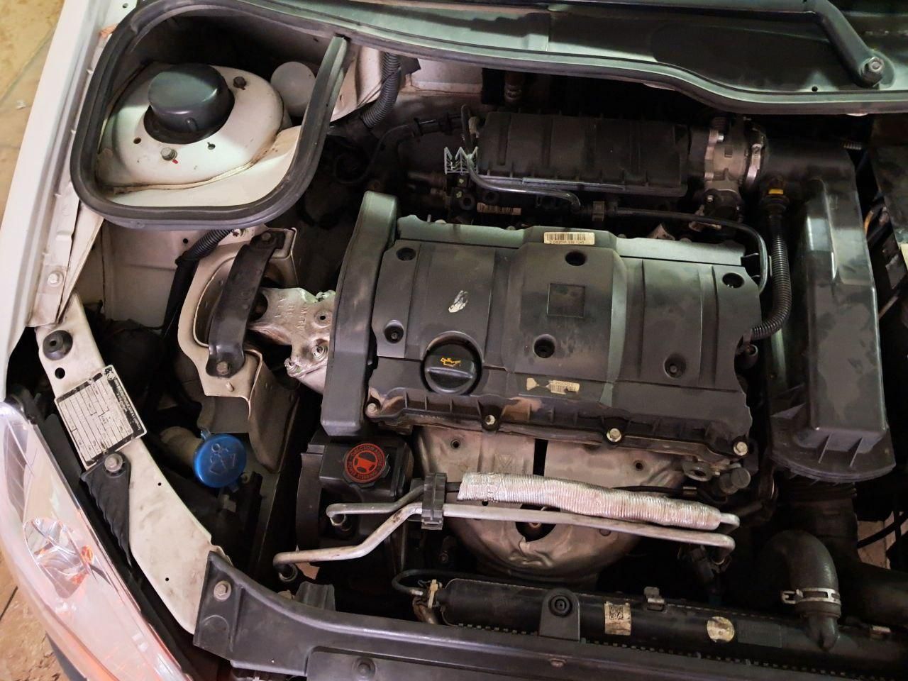 پژو 206 SD v8 - 1394