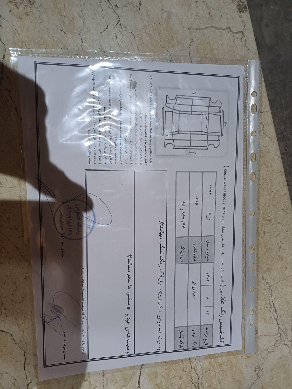 پژو 206 تیپ 5 - 1394