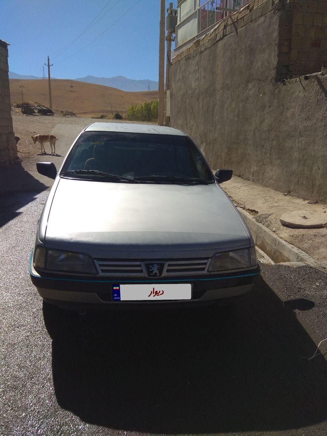 پژو 405 GL - دوگانه سوز CNG - 1392