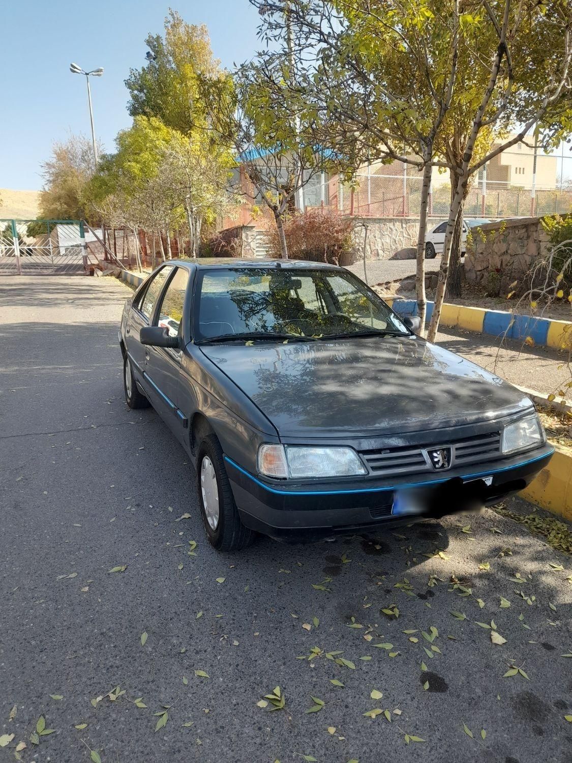 پژو 405 GL - دوگانه سوز CNG - 1383