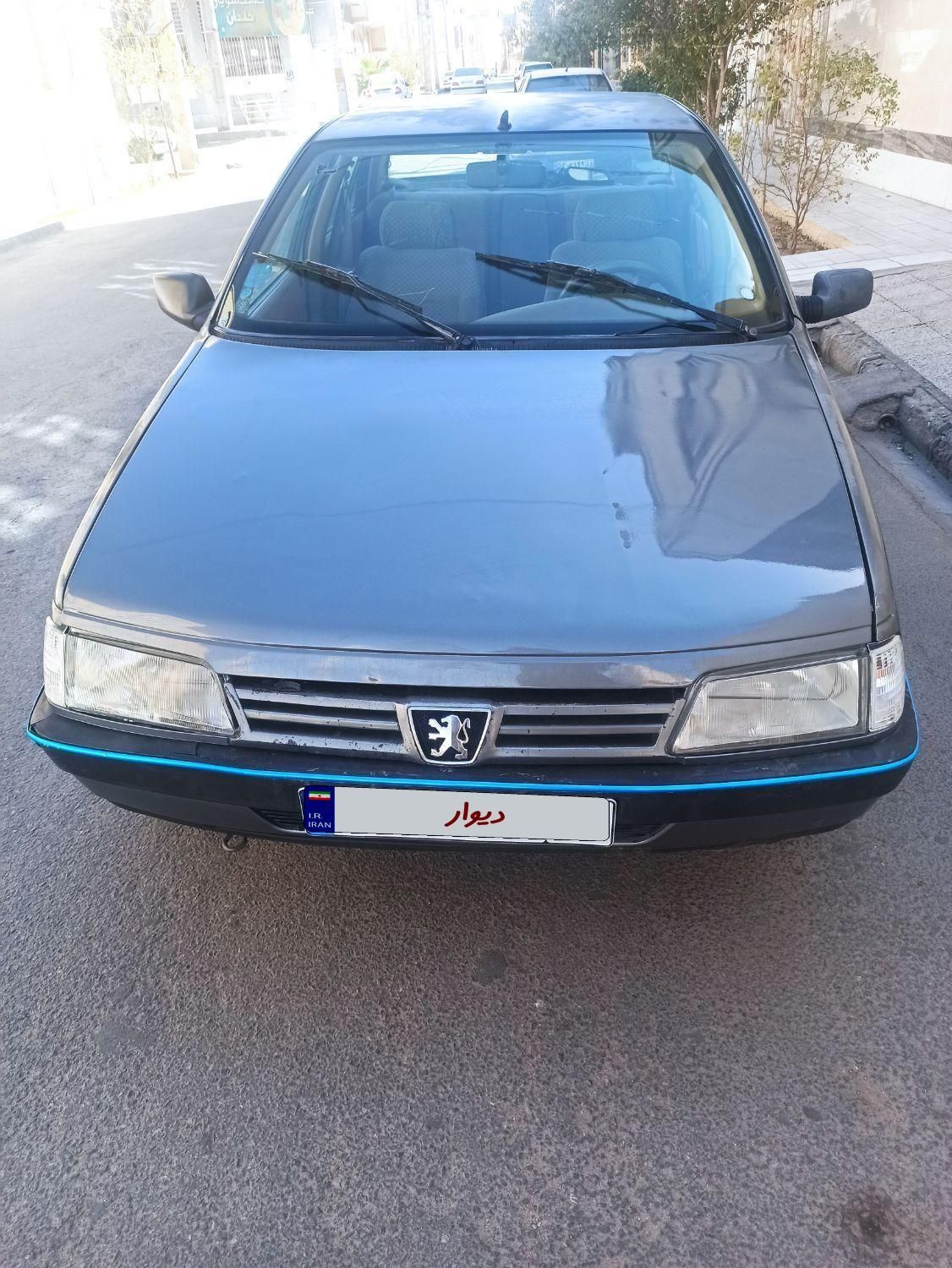 پژو 405 GL - دوگانه سوز CNG - 1391