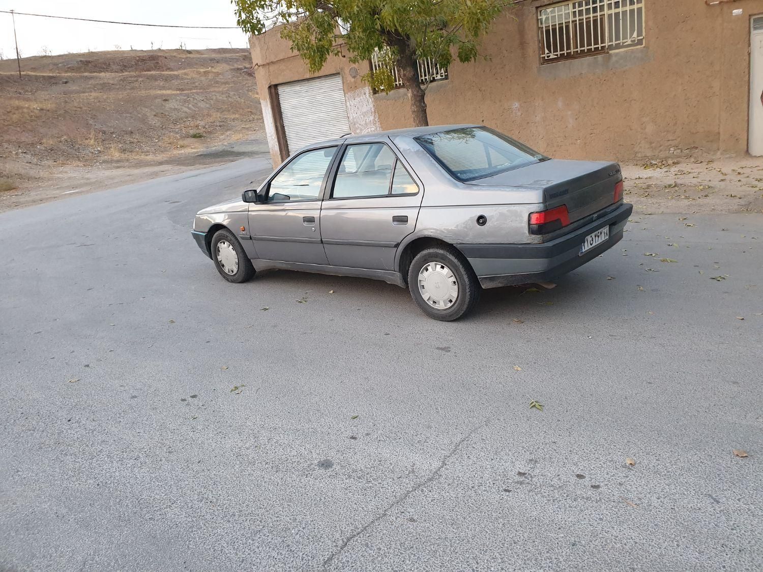 پژو 405 GL - دوگانه سوز CNG - 1389