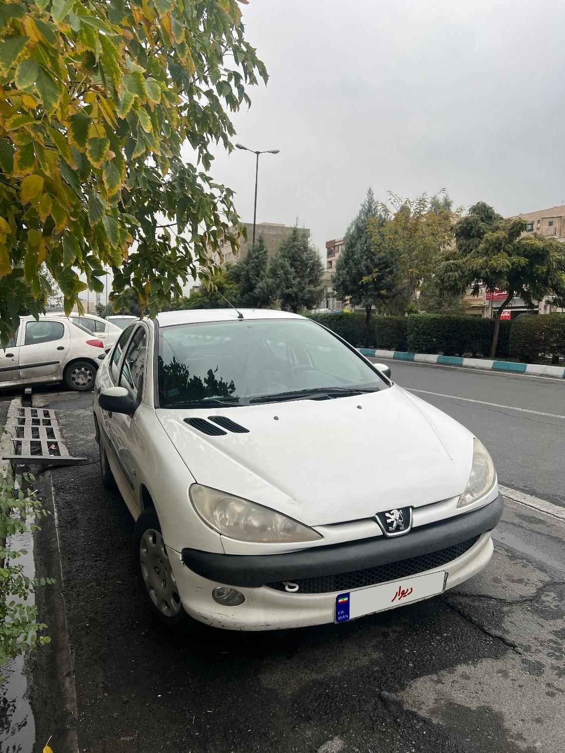 پژو 206 SD v8 - 1394