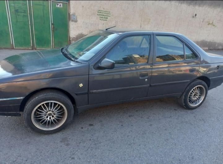 پژو 405 GLI - دوگانه سوز CNG - 1384