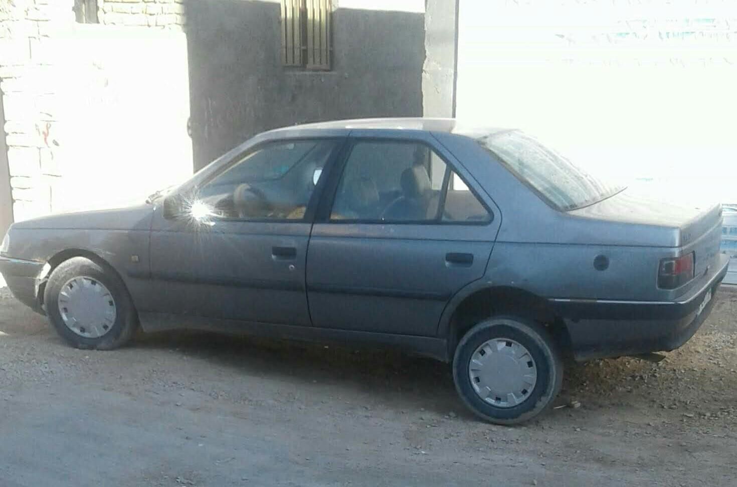 پژو 405 GL - دوگانه سوز CNG - 1387