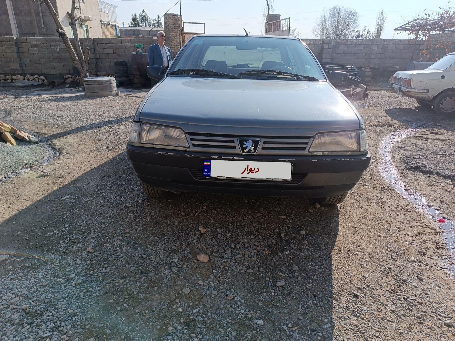 پژو 405 GL - دوگانه سوز CNG - 1391