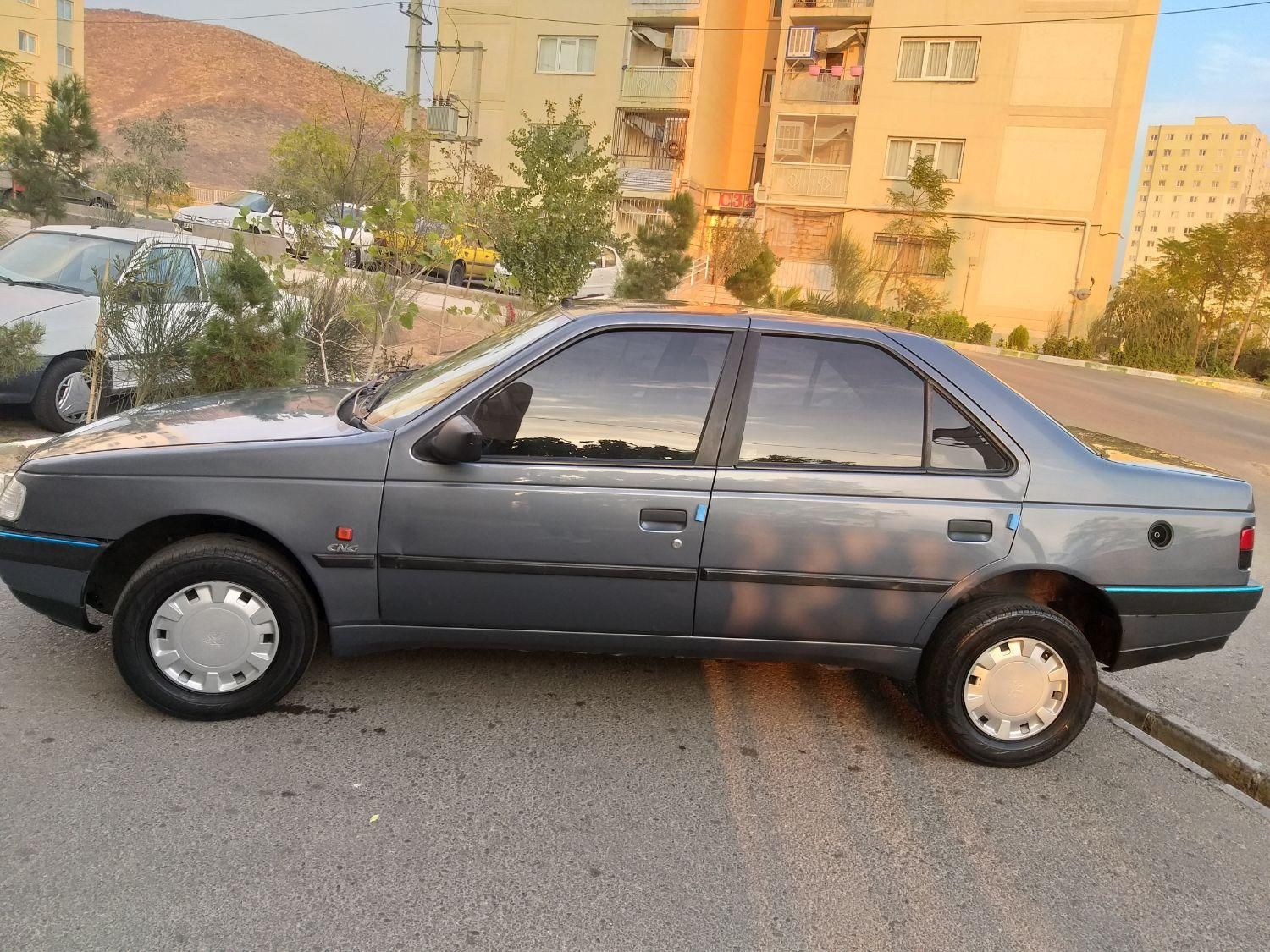 پژو 405 GL - دوگانه سوز CNG - 1396