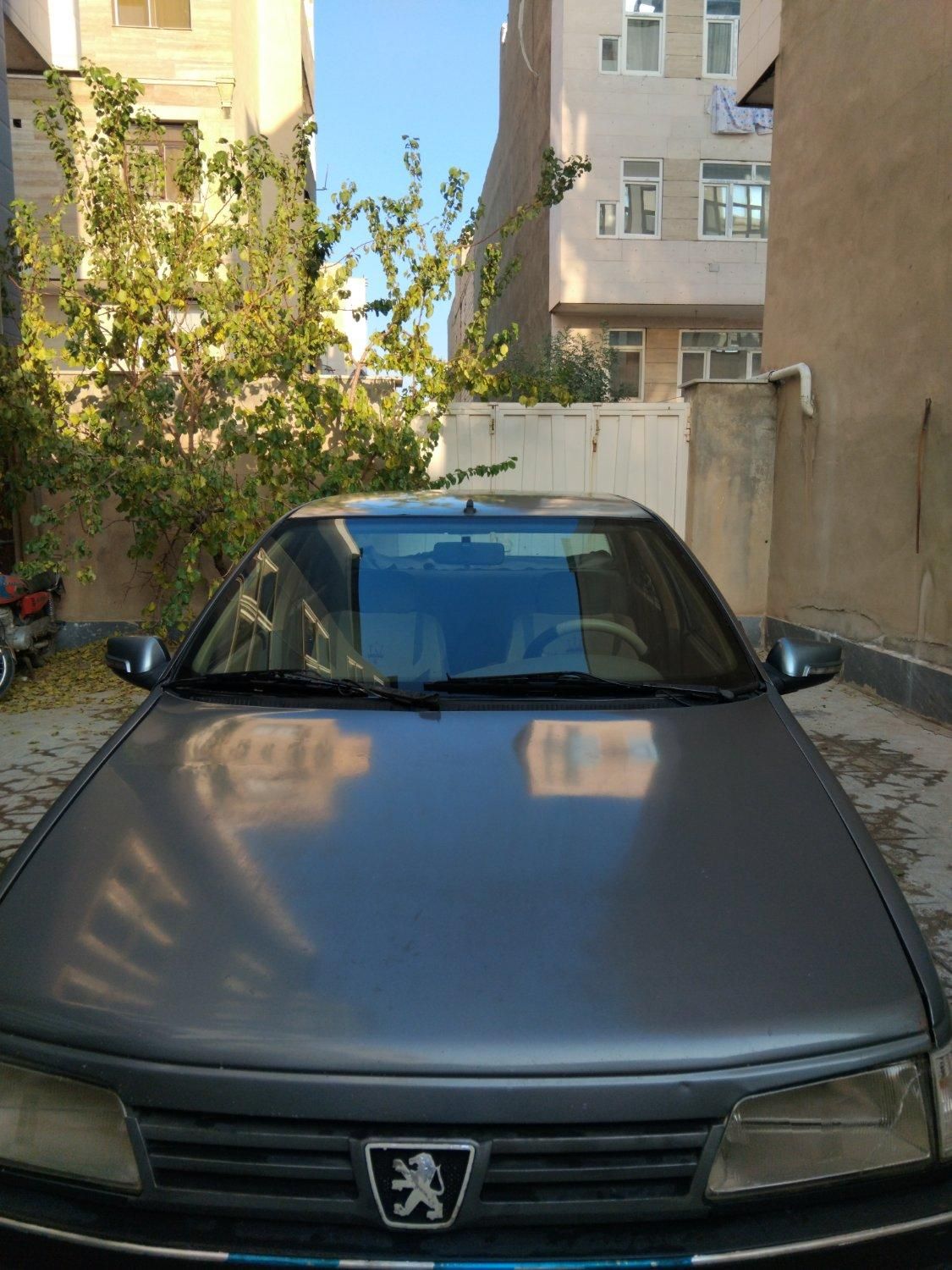 پژو 405 GL - دوگانه سوز CNG - 1389