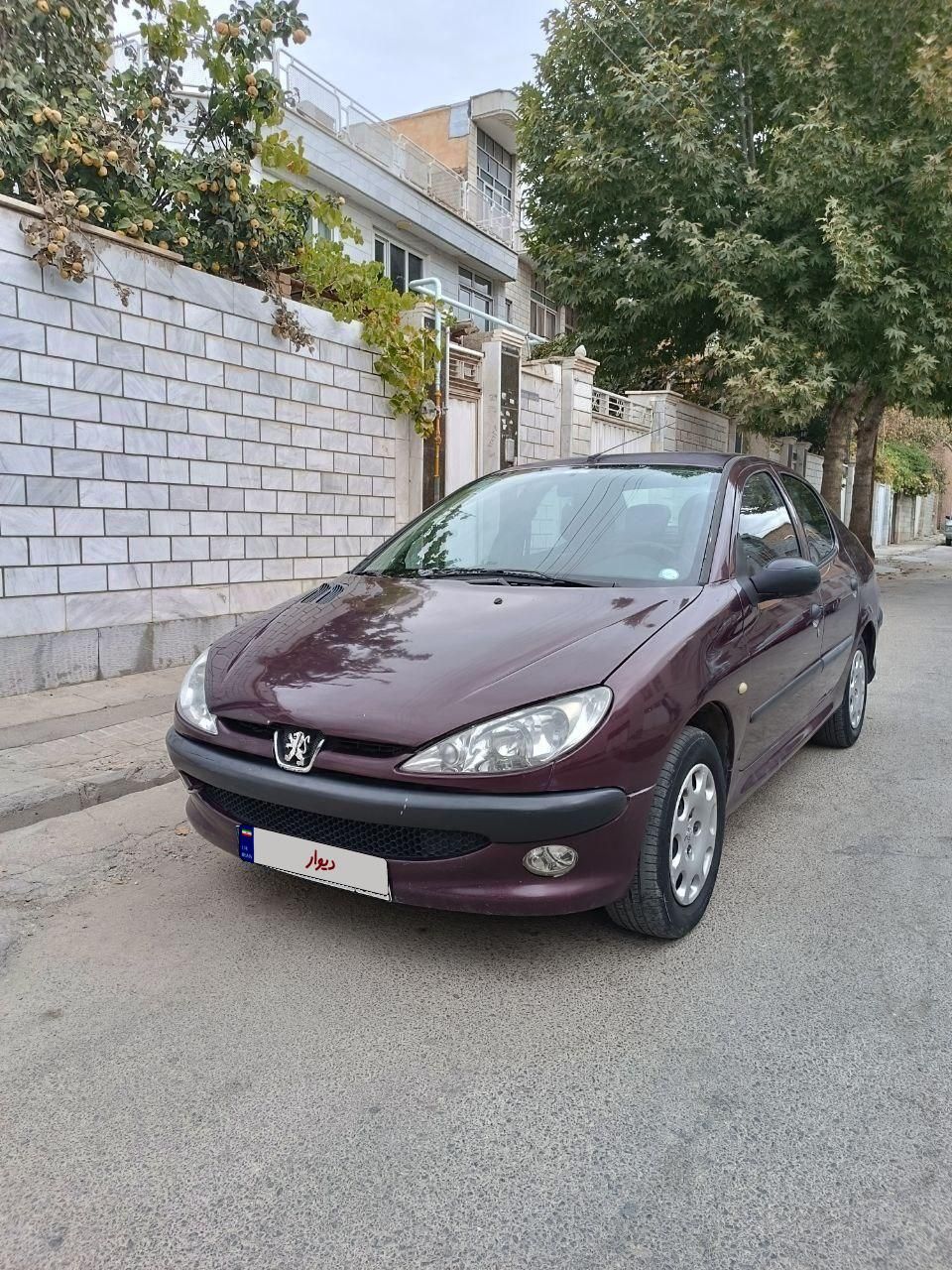 پژو 206 SD v8 - 1393