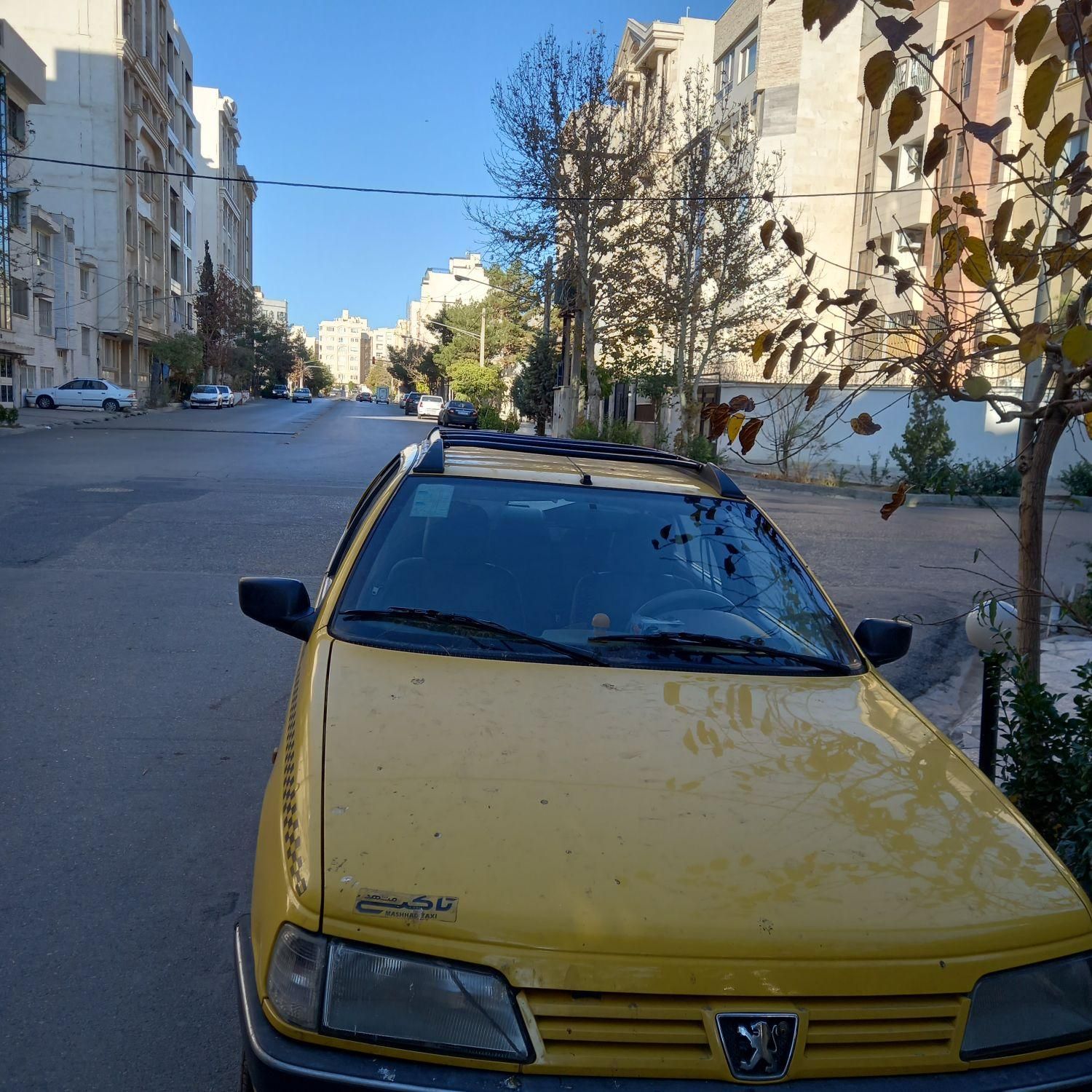 پژو 405 GL - دوگانه سوز CNG - 1395