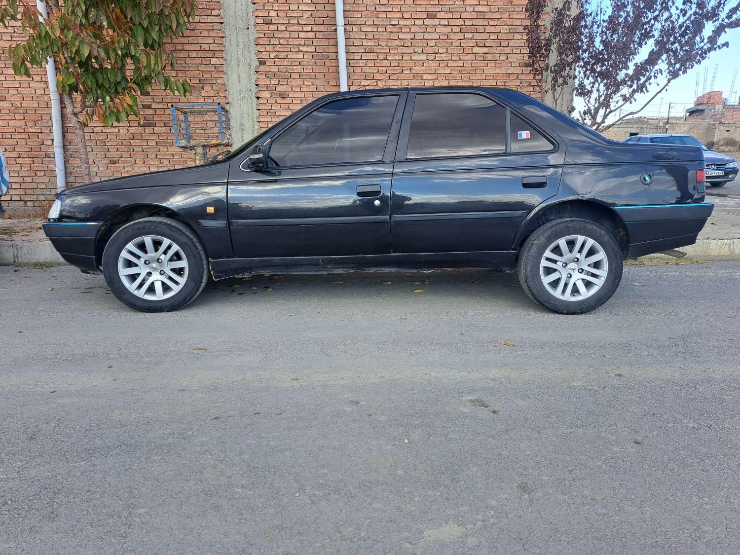 پژو 405 GL - دوگانه سوز CNG - 1389