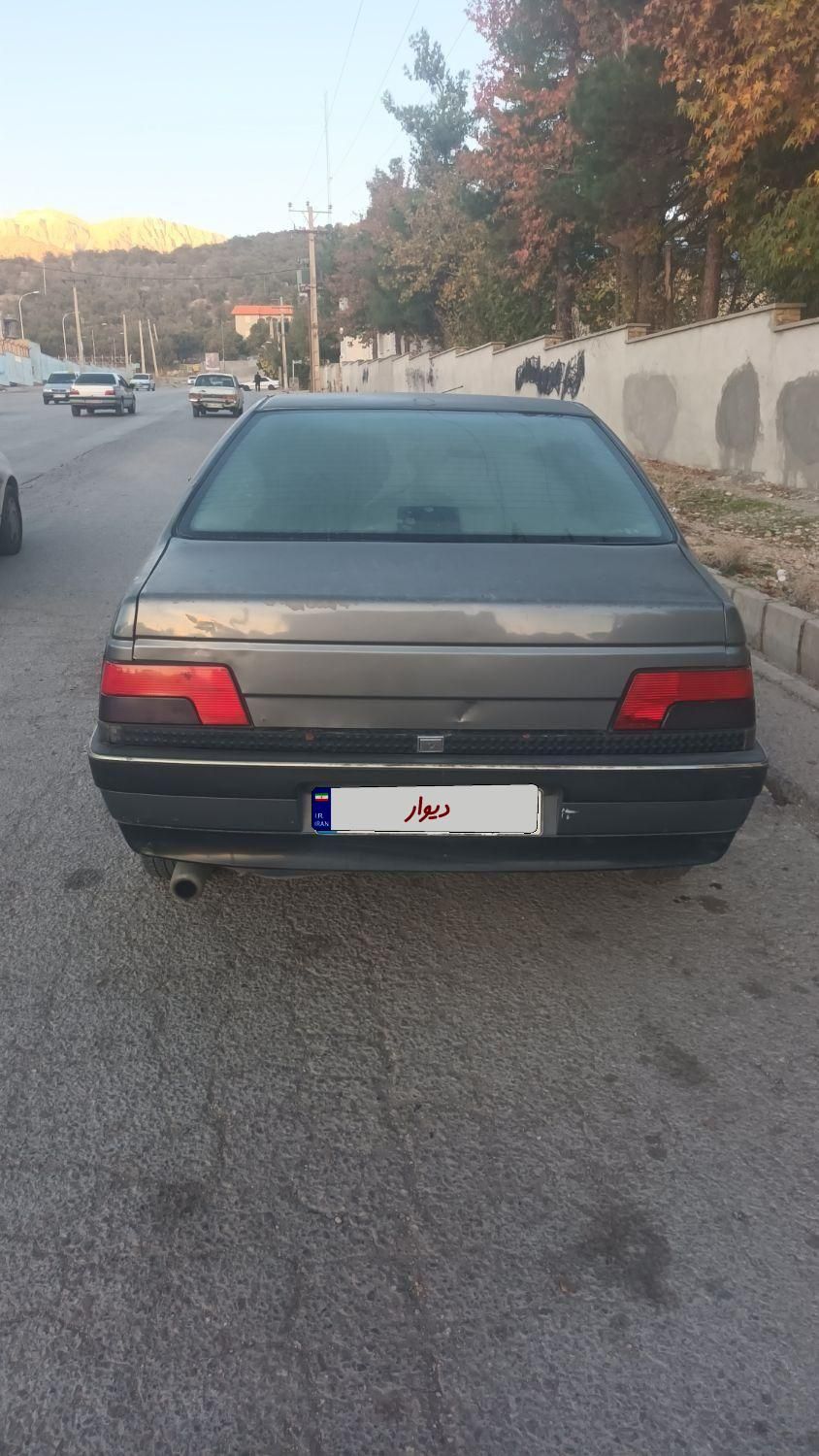 پژو 405 GL - دوگانه سوز CNG - 1393