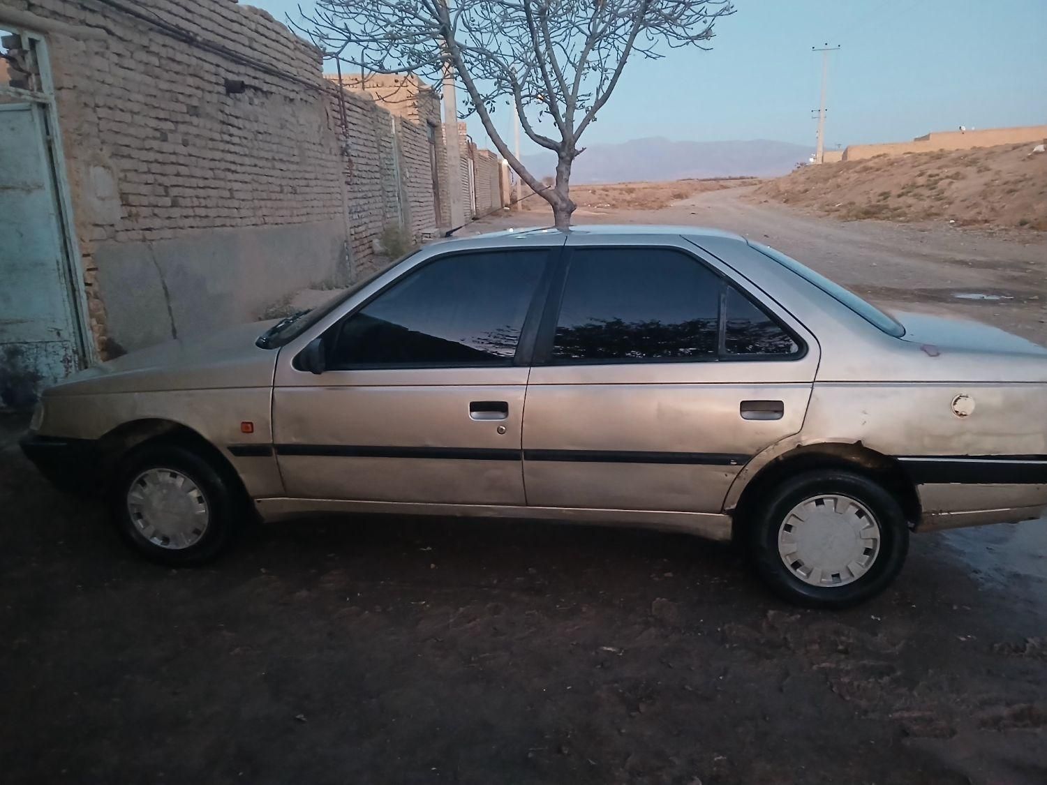 پژو 405 GL - دوگانه سوز CNG - 1383