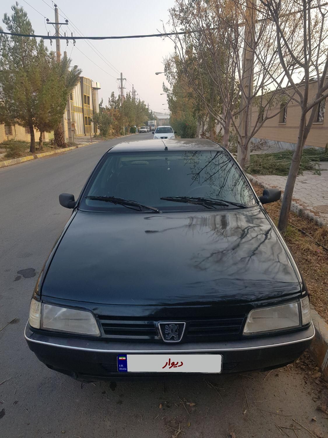 پژو 405 GLI - دوگانه سوز LPG - 1383