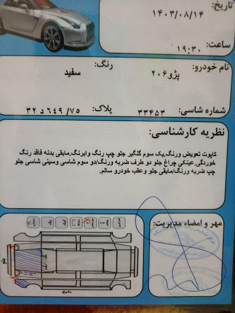 پژو 206 تیپ 2 - 1395