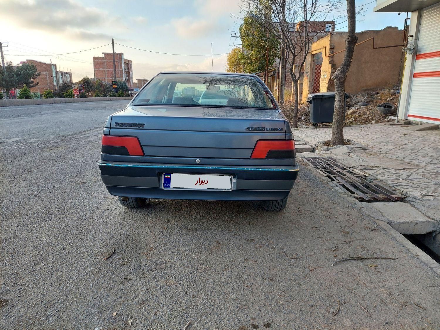 پژو 405 GL - دوگانه سوز CNG - 1394