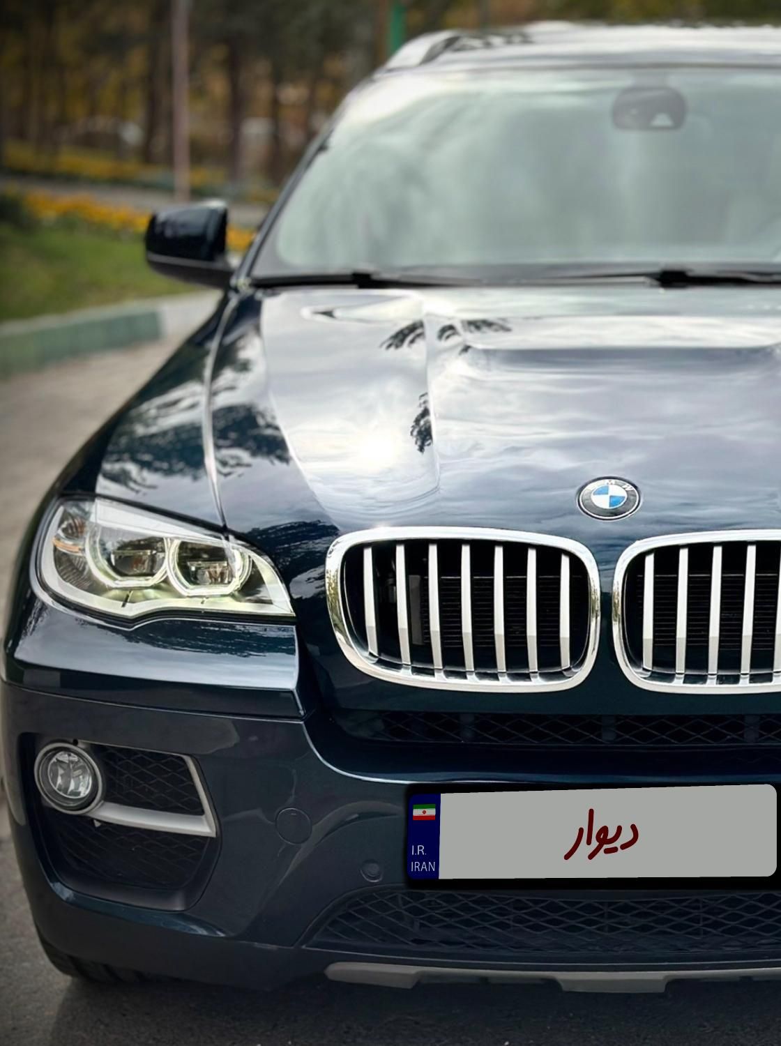 ب ام و X6 50 فول - 2013