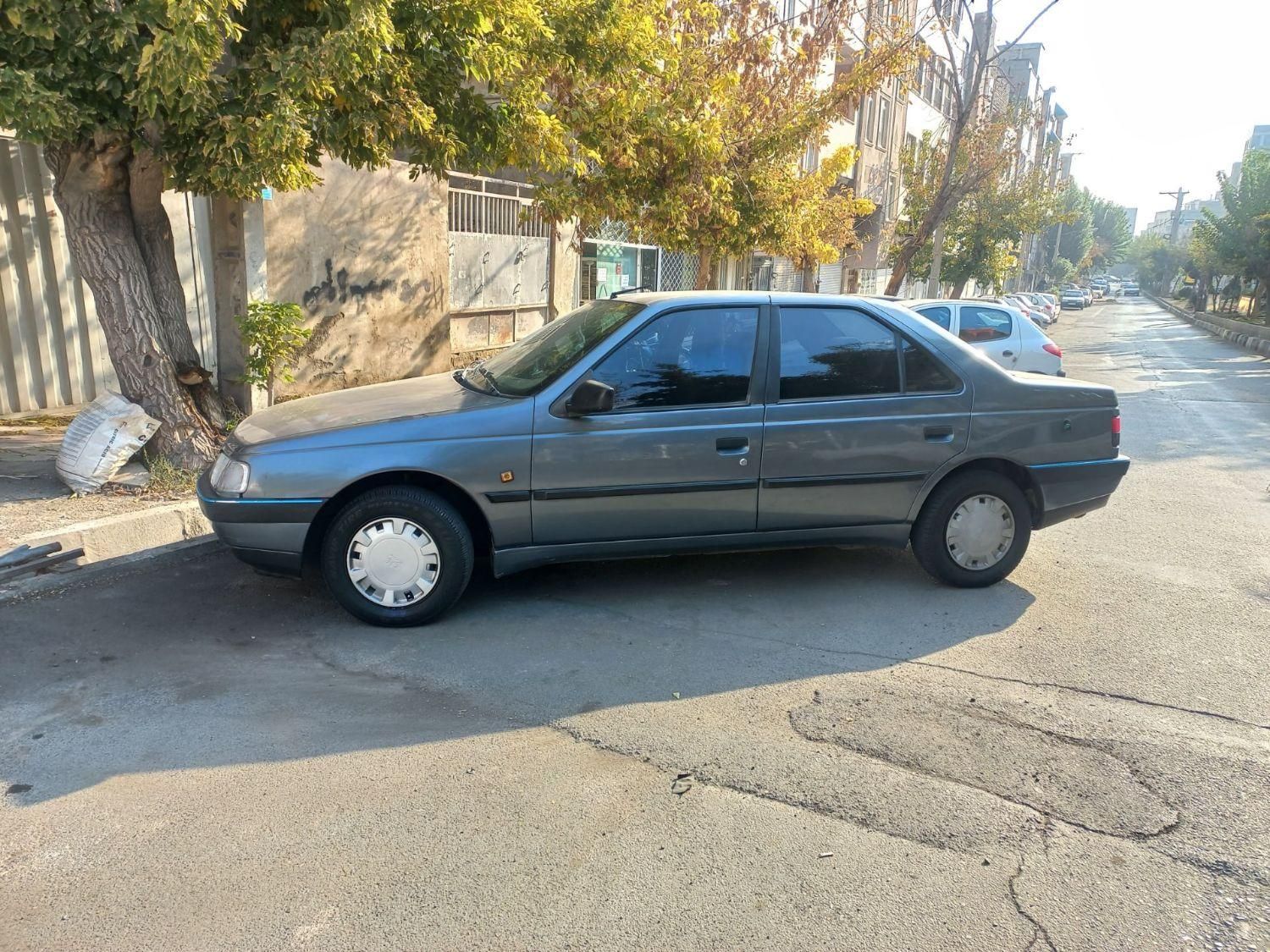 پژو 405 GL - دوگانه سوز CNG - 1395