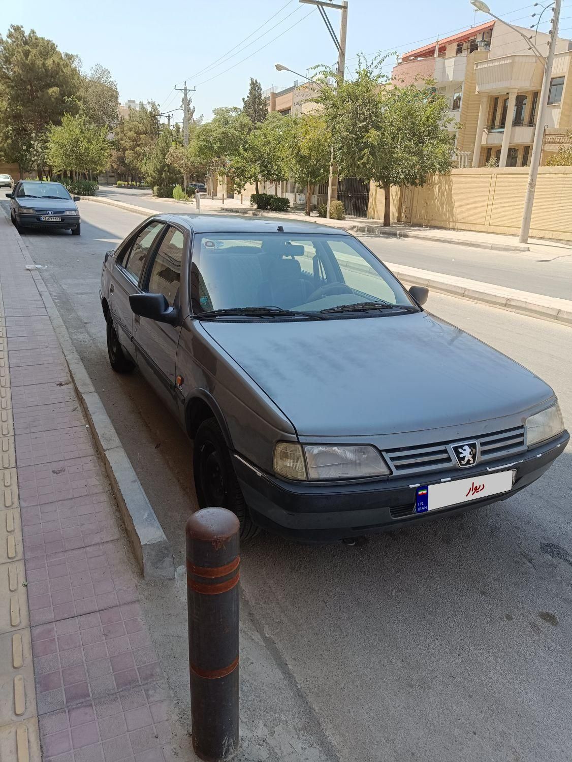 پژو 405 GL - دوگانه سوز CNG - 1393