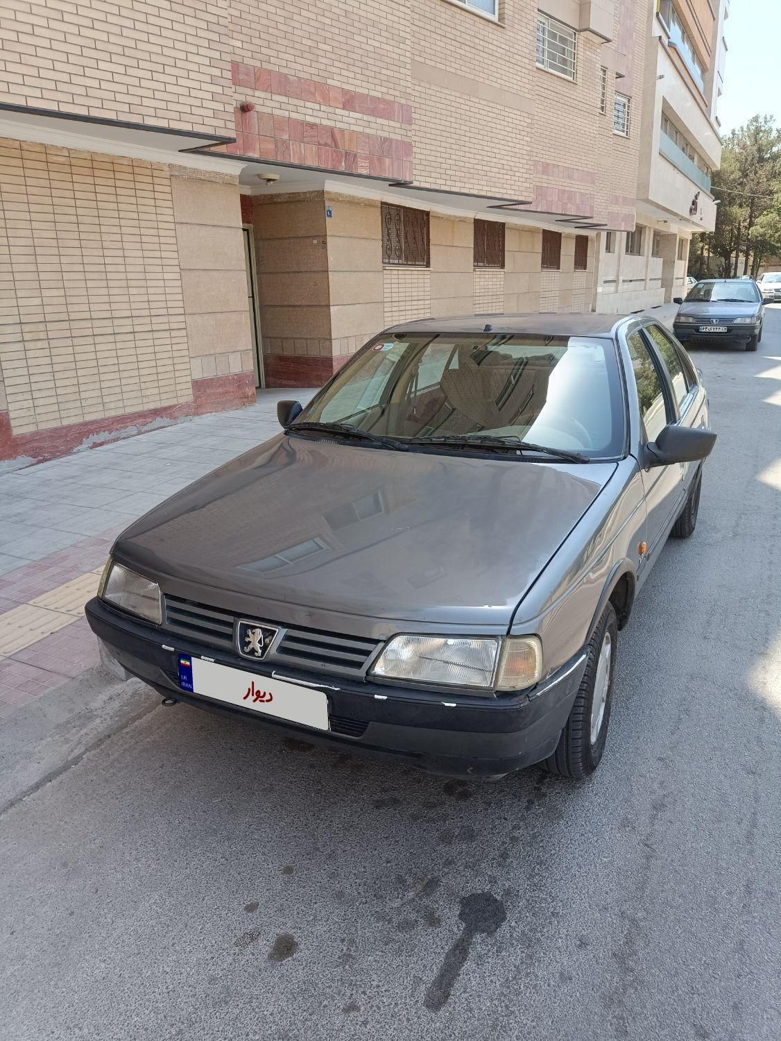 پژو 405 GL - دوگانه سوز CNG - 1393