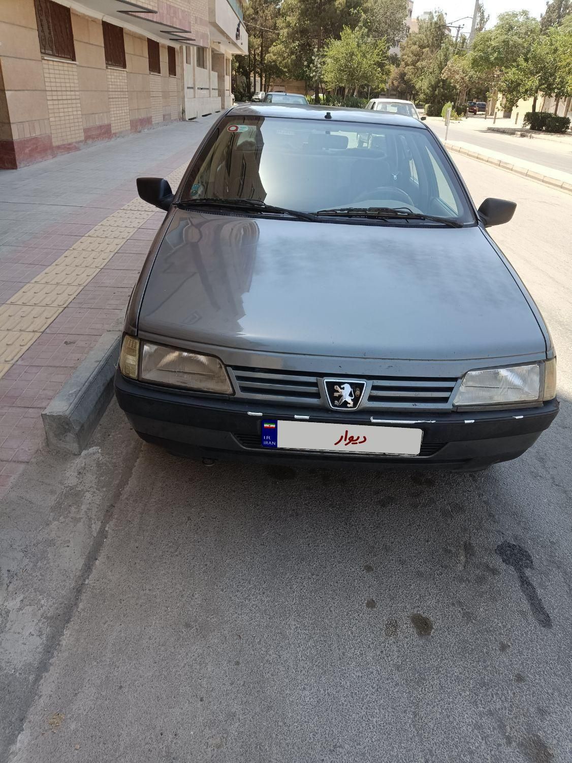 پژو 405 GL - دوگانه سوز CNG - 1393