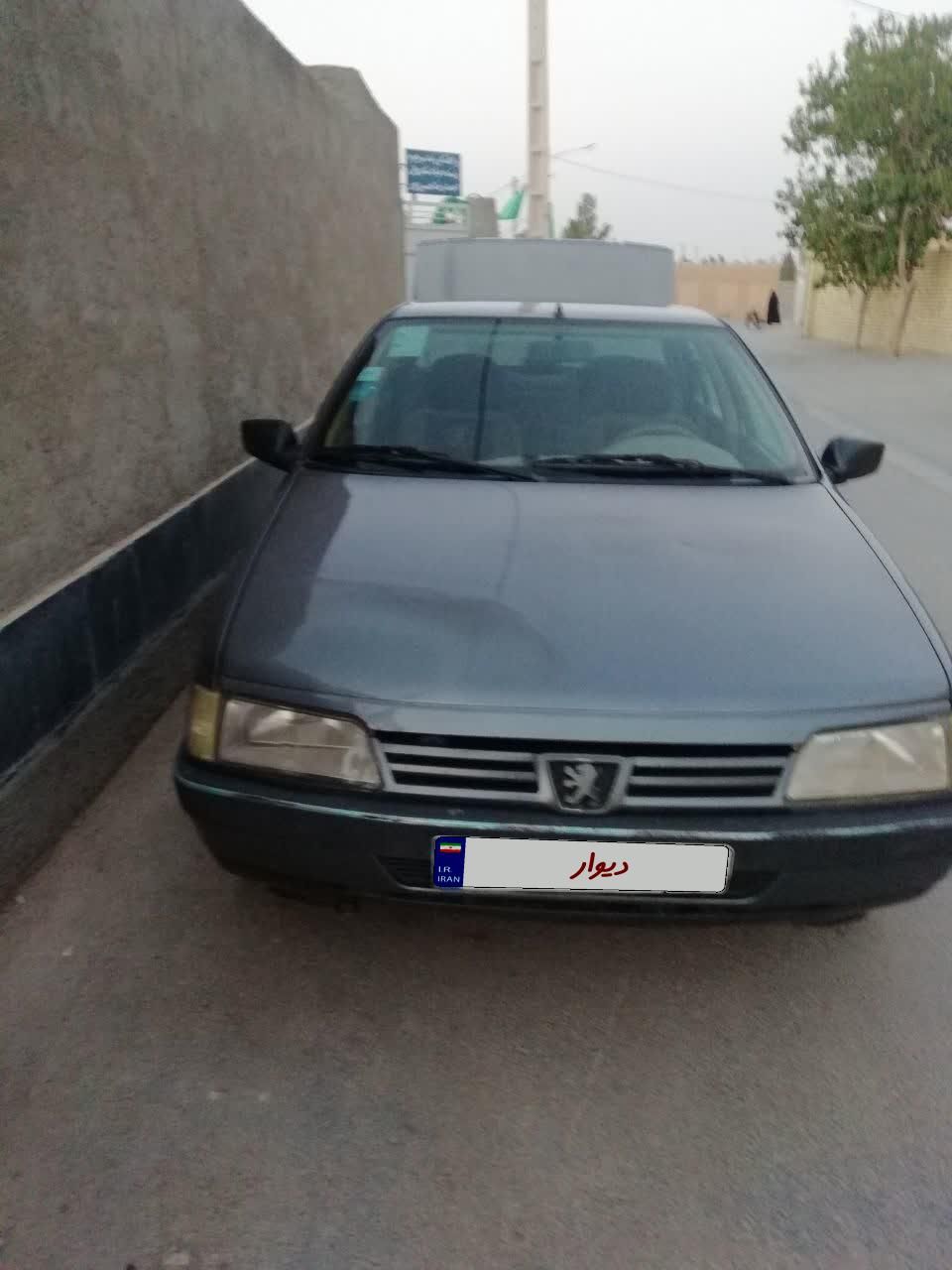 پژو 405 GL - دوگانه سوز CNG - 1394