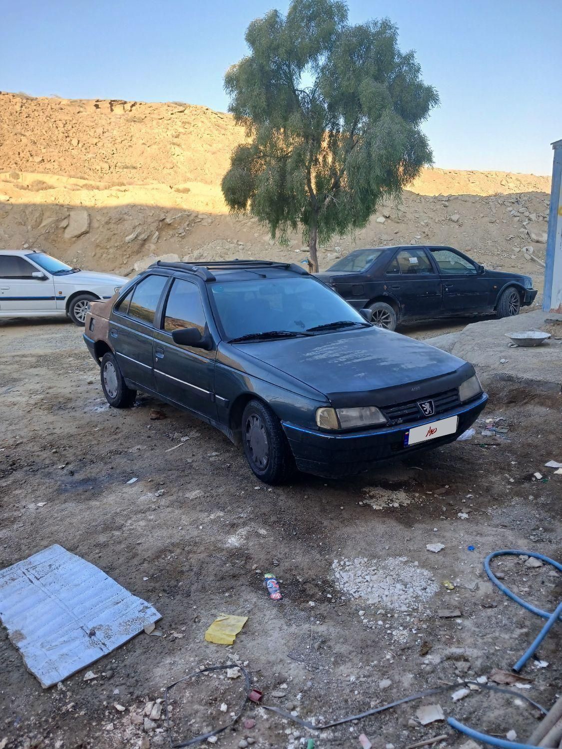 پژو 405 GL - دوگانه سوز LPG - 1399