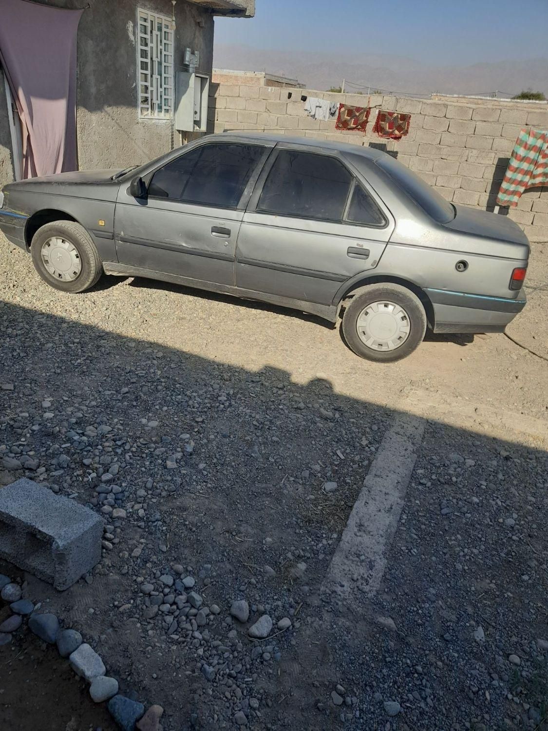 پژو 405 GL - دوگانه سوز CNG - 1389