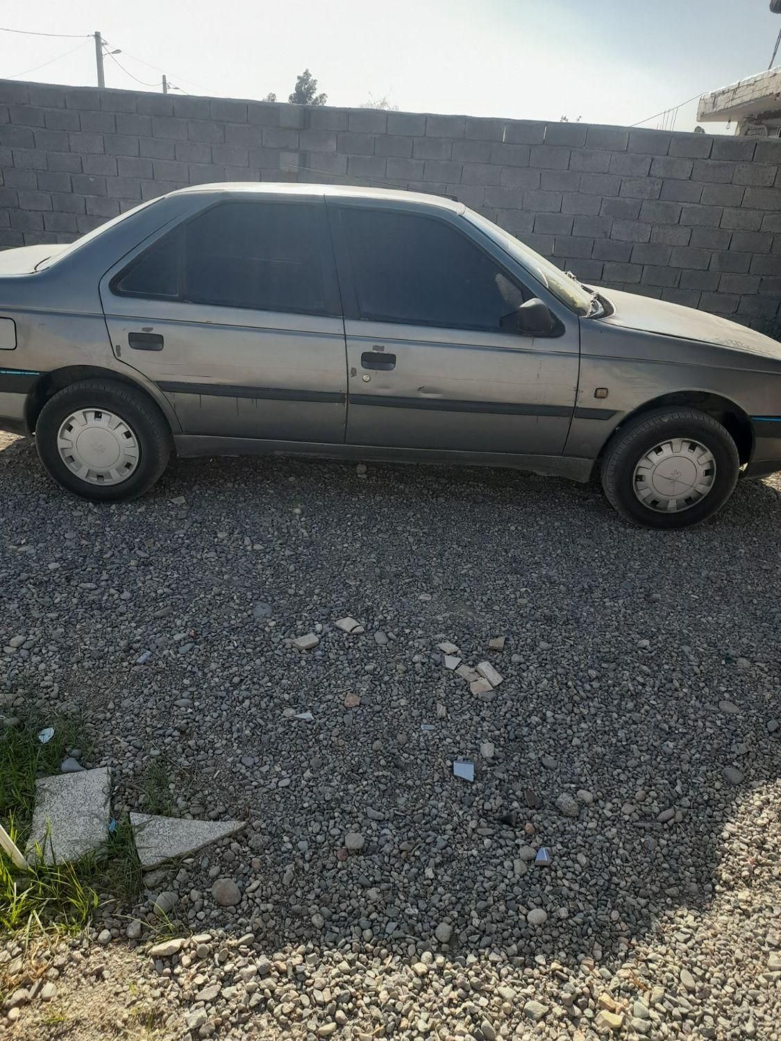 پژو 405 GL - دوگانه سوز CNG - 1389