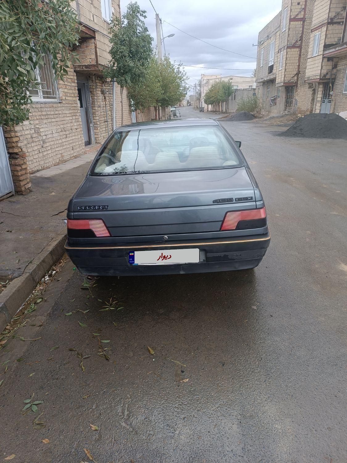 پژو 405 GL - دوگانه سوز CNG - 1396