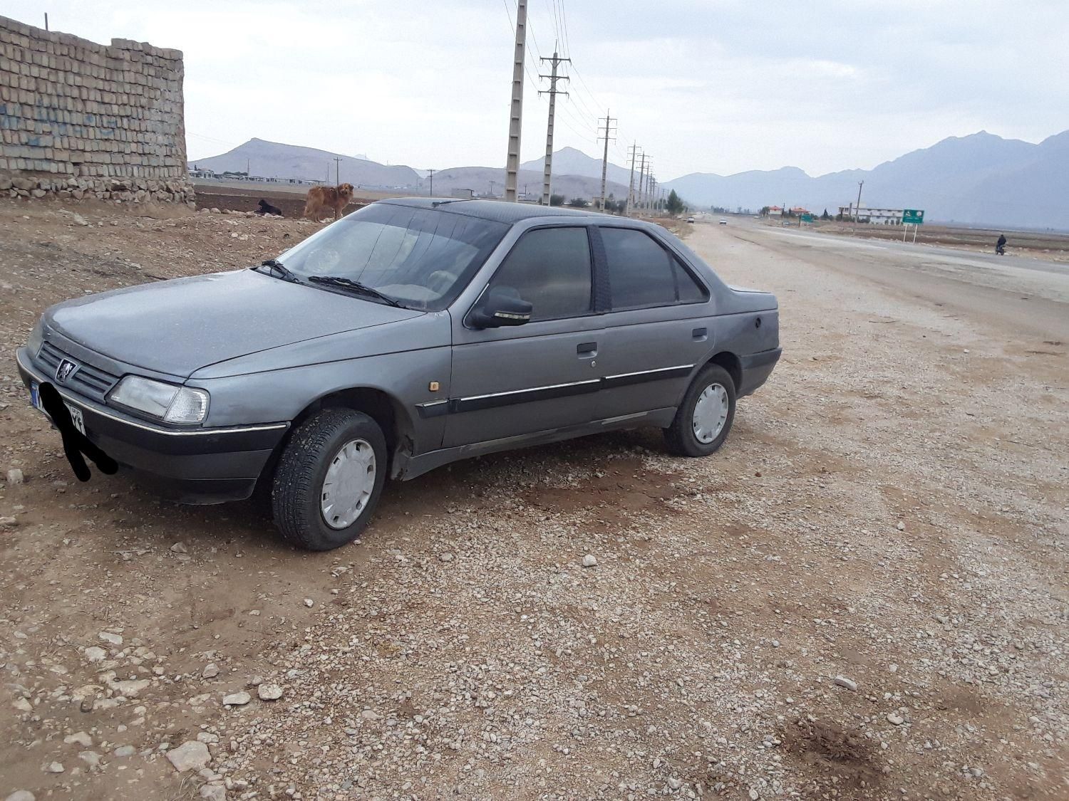 پژو 405 GL - دوگانه سوز CNG - 1390