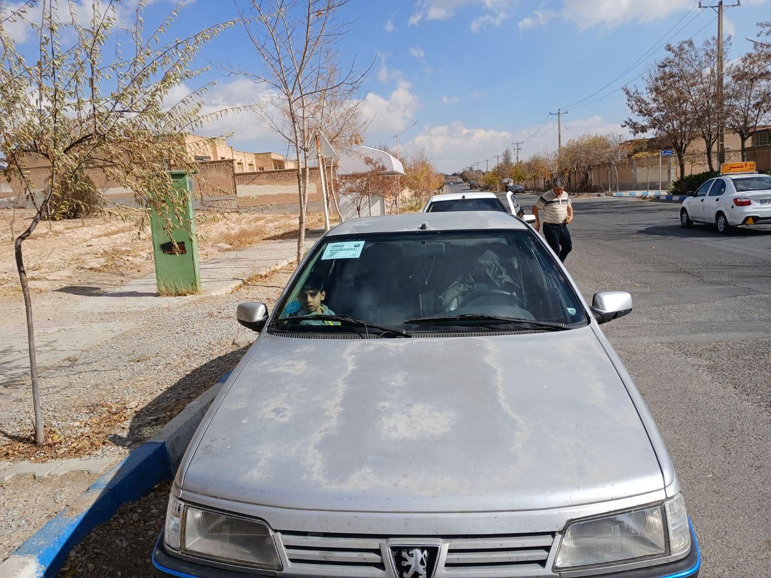 پژو 405 GL - دوگانه سوز CNG - 1389