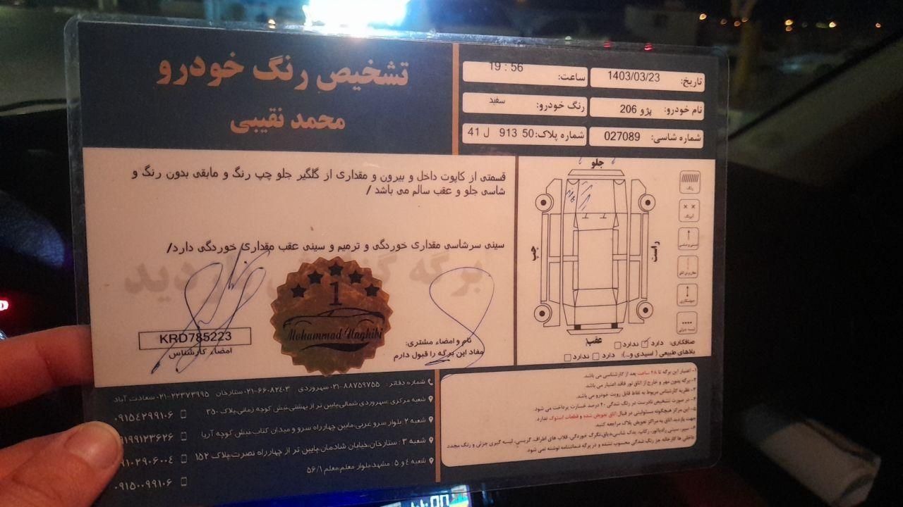 پژو 206 تیپ 2 - 1399