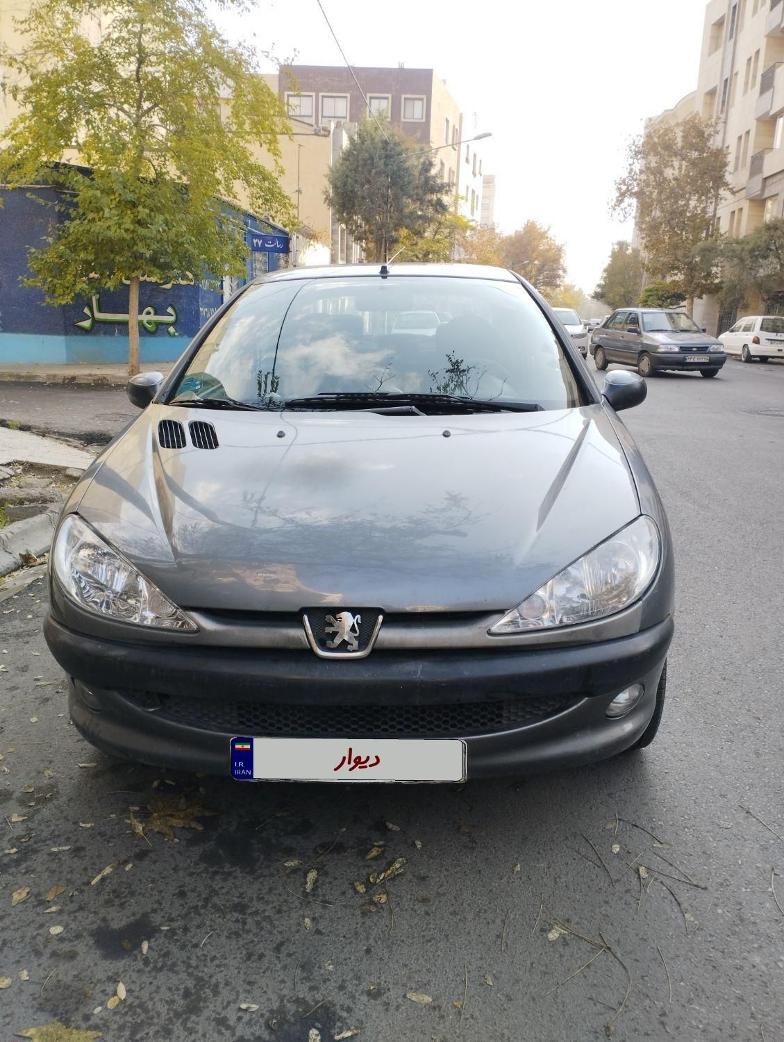 پژو 206 SD v8 - 1387