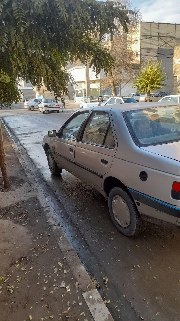 پژو 405 GL - دوگانه سوز CNG - 1390