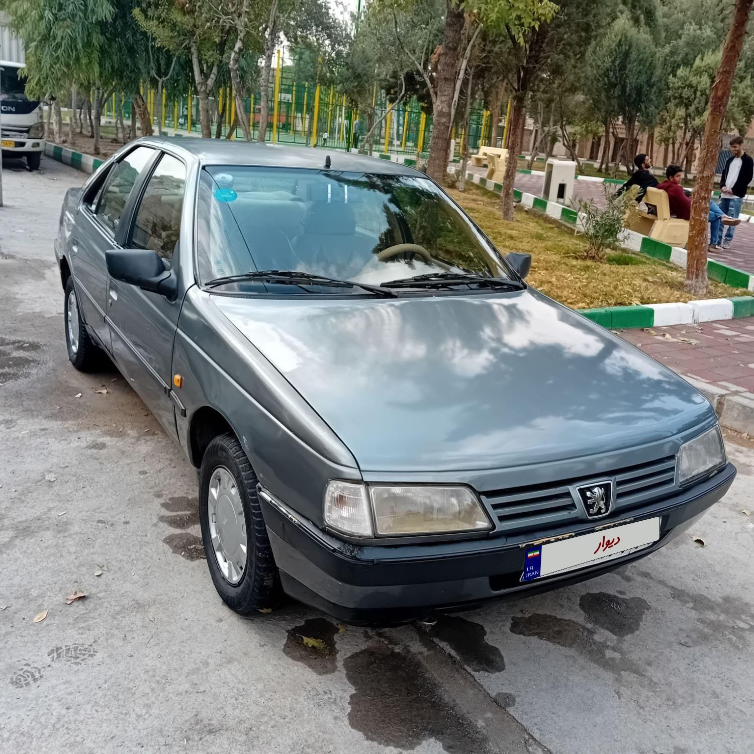 پژو 405 GL - دوگانه سوز CNG - 1390