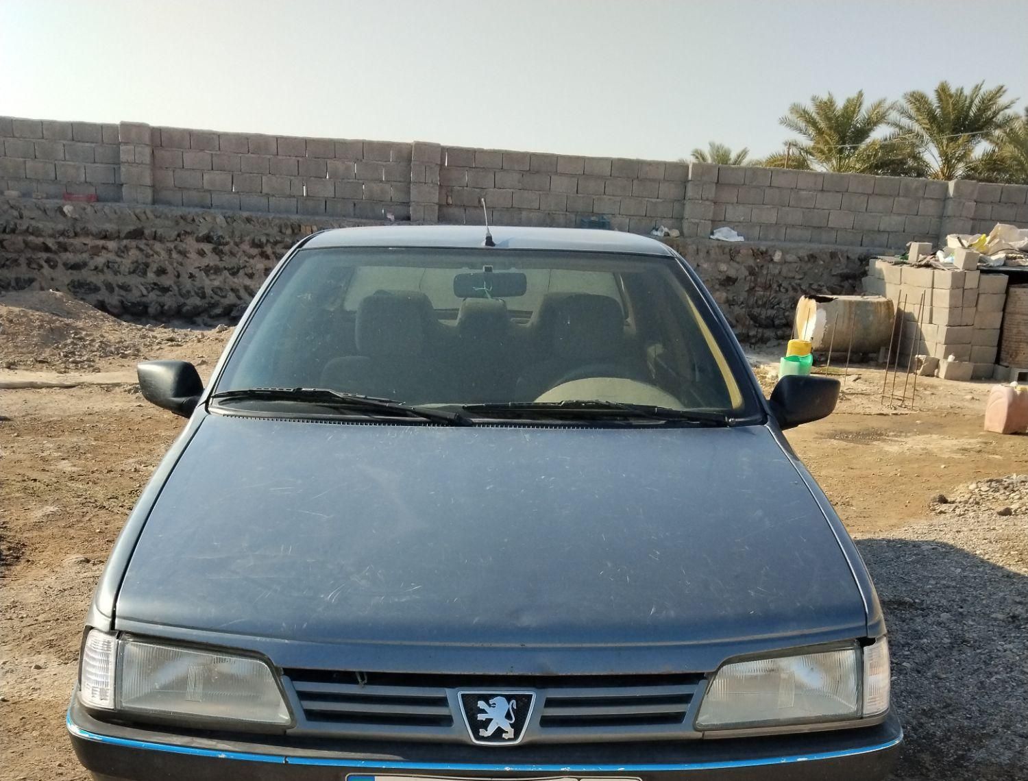 پژو 405 GL - دوگانه سوز CNG - 1395