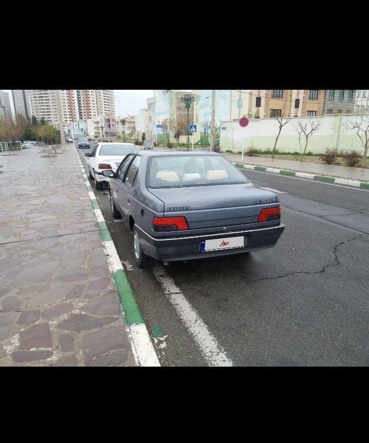 پژو 405 GL - دوگانه سوز CNG - 1396