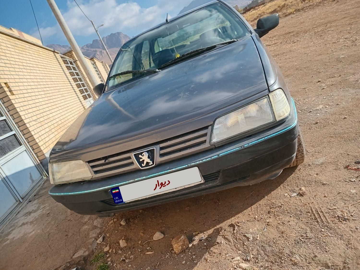 پژو 405 GLI - دوگانه سوز CNG - 1381