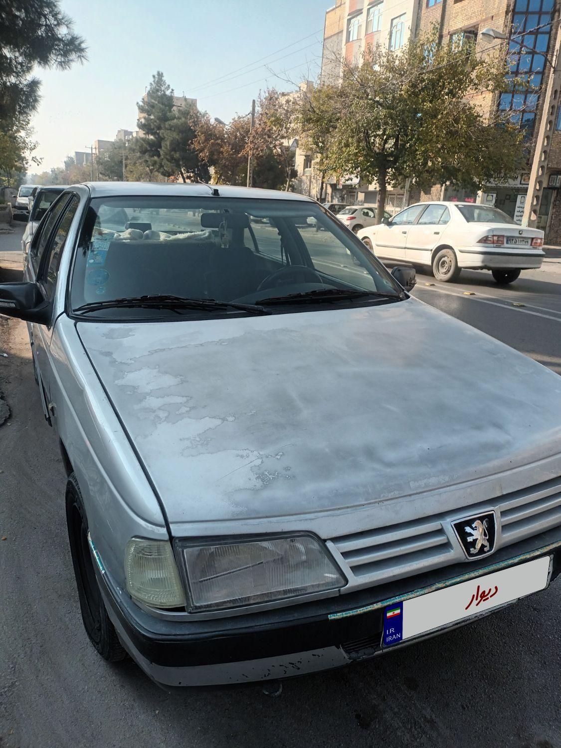 پژو 405 GL - دوگانه سوز CNG - 1389