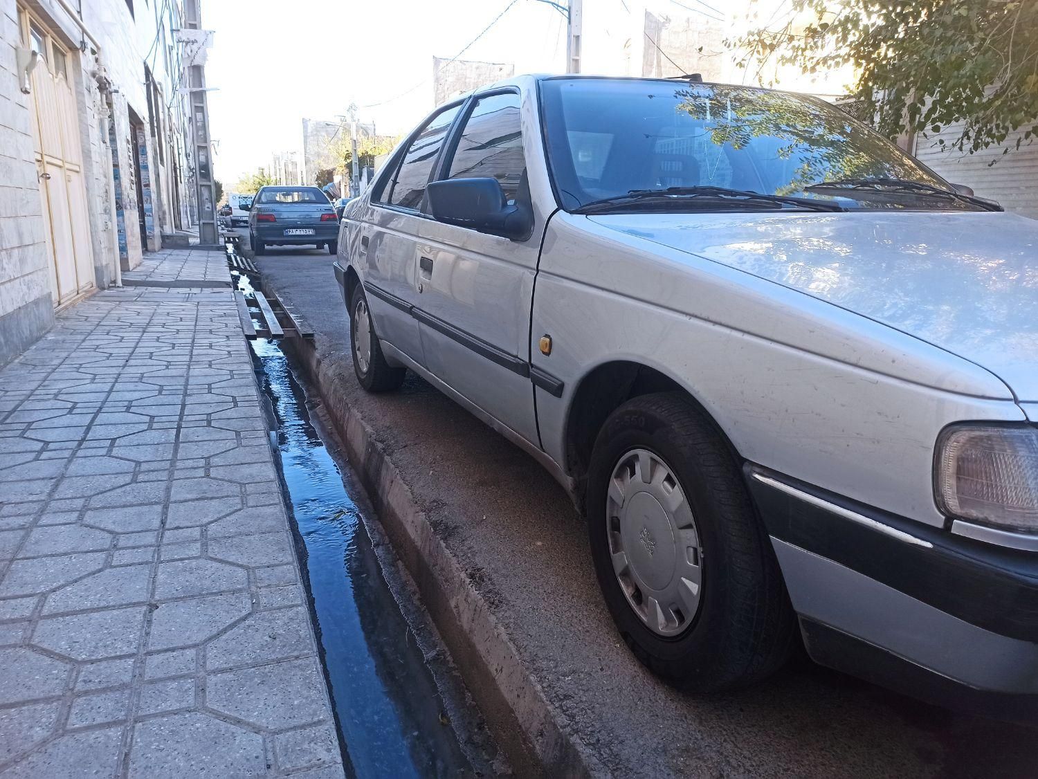 پژو 405 GL - دوگانه سوز CNG - 1394