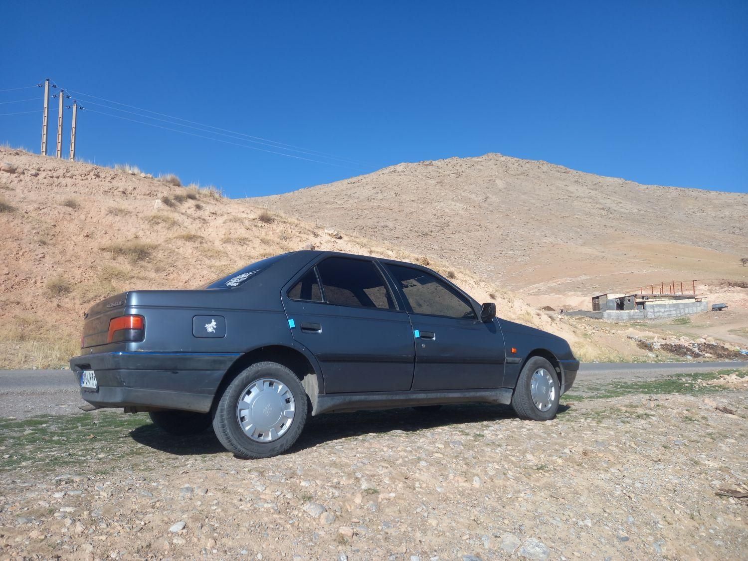 پژو 405 GL - دوگانه سوز CNG - 1394