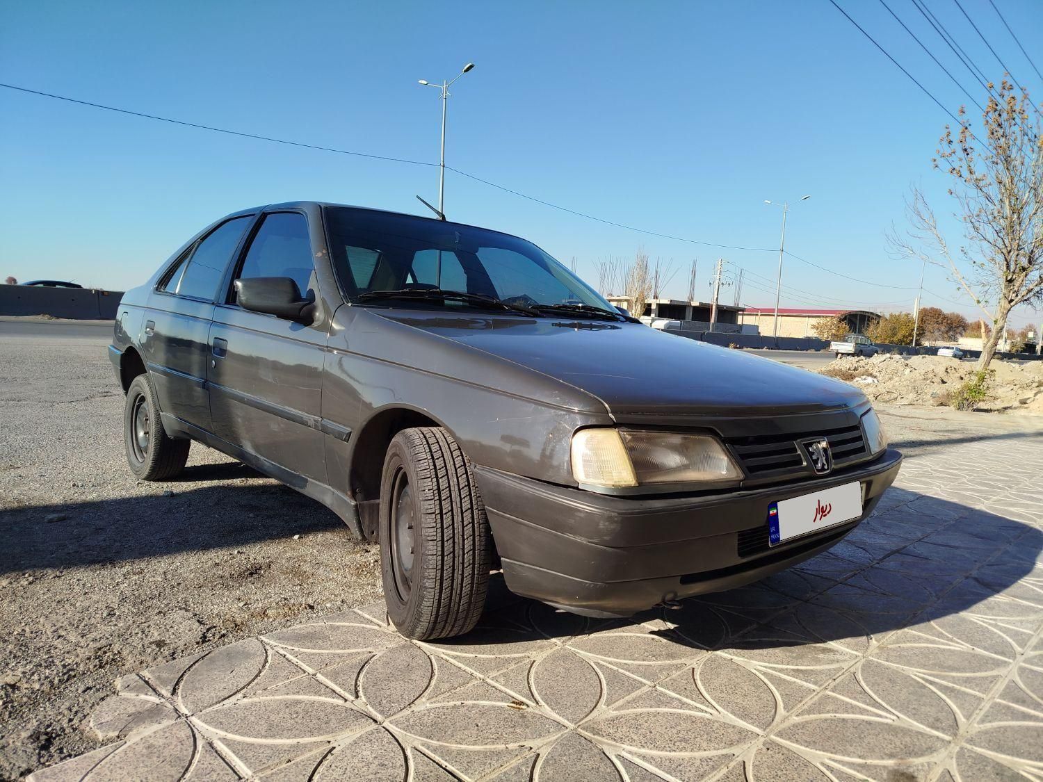 پژو 405 GL - دوگانه سوز CNG - 1384