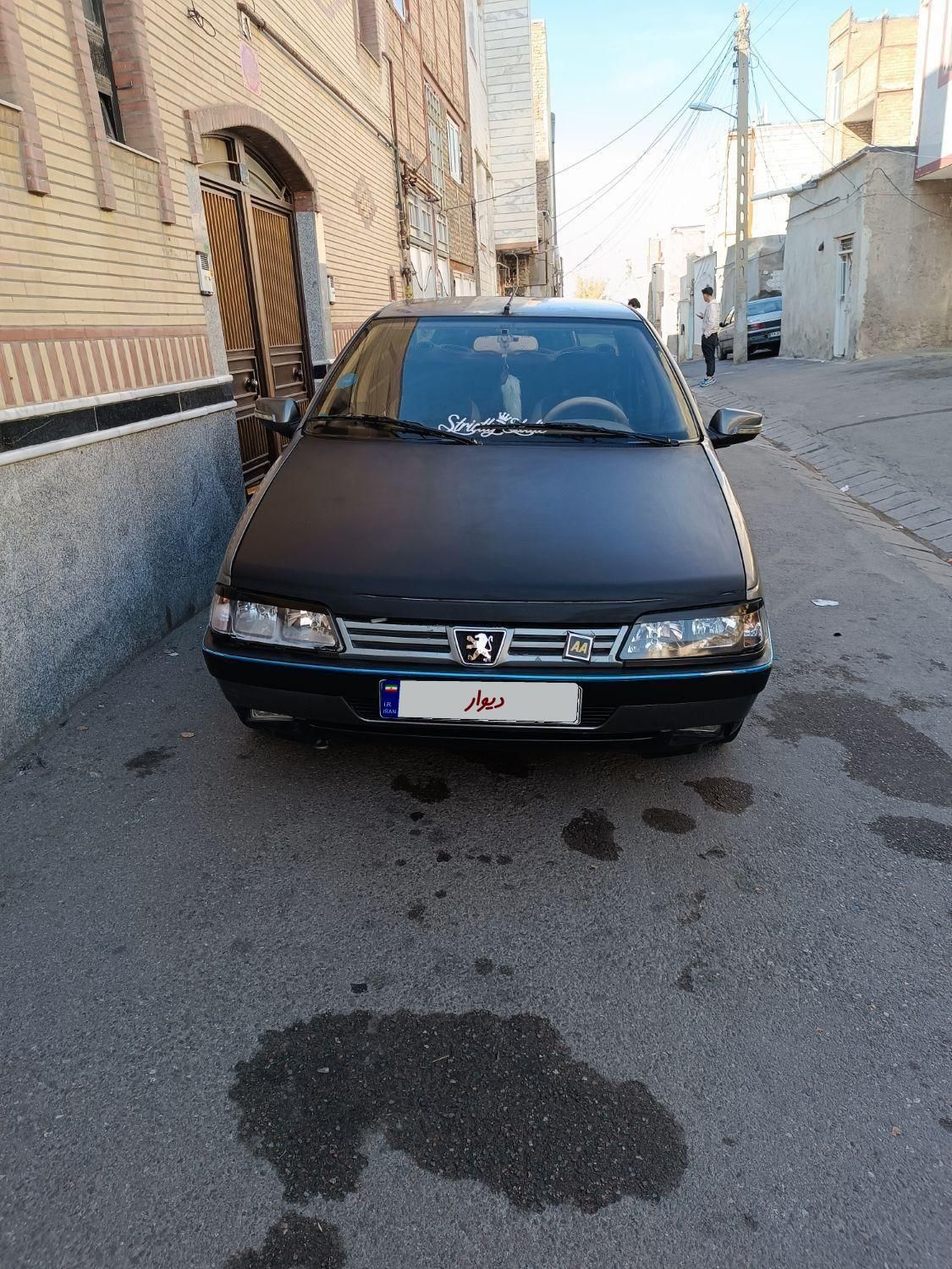 پژو 405 GL - دوگانه سوز CNG - 1390