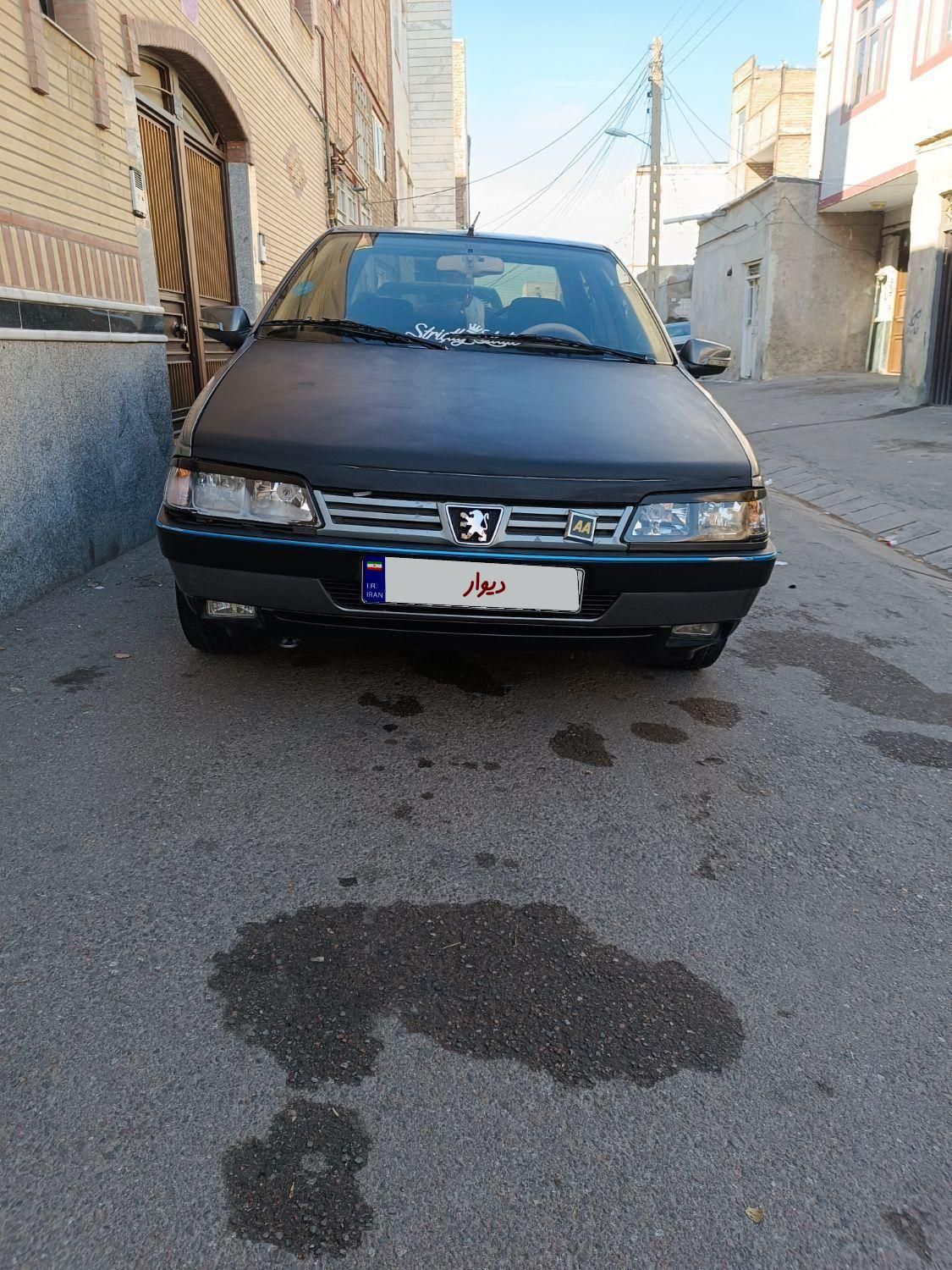 پژو 405 GL - دوگانه سوز CNG - 1390