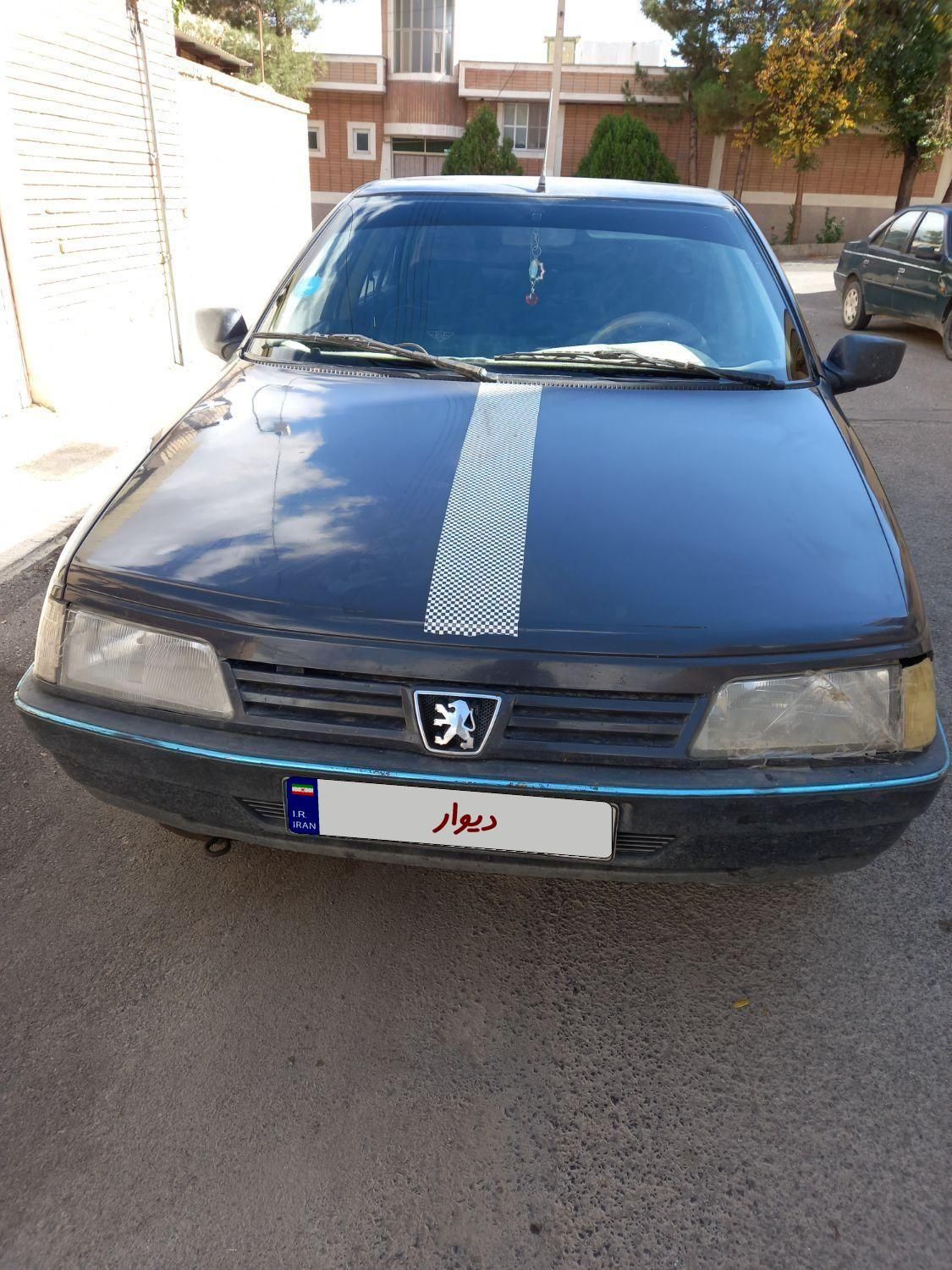 پژو 405 GLI - دوگانه سوز CNG - 1384