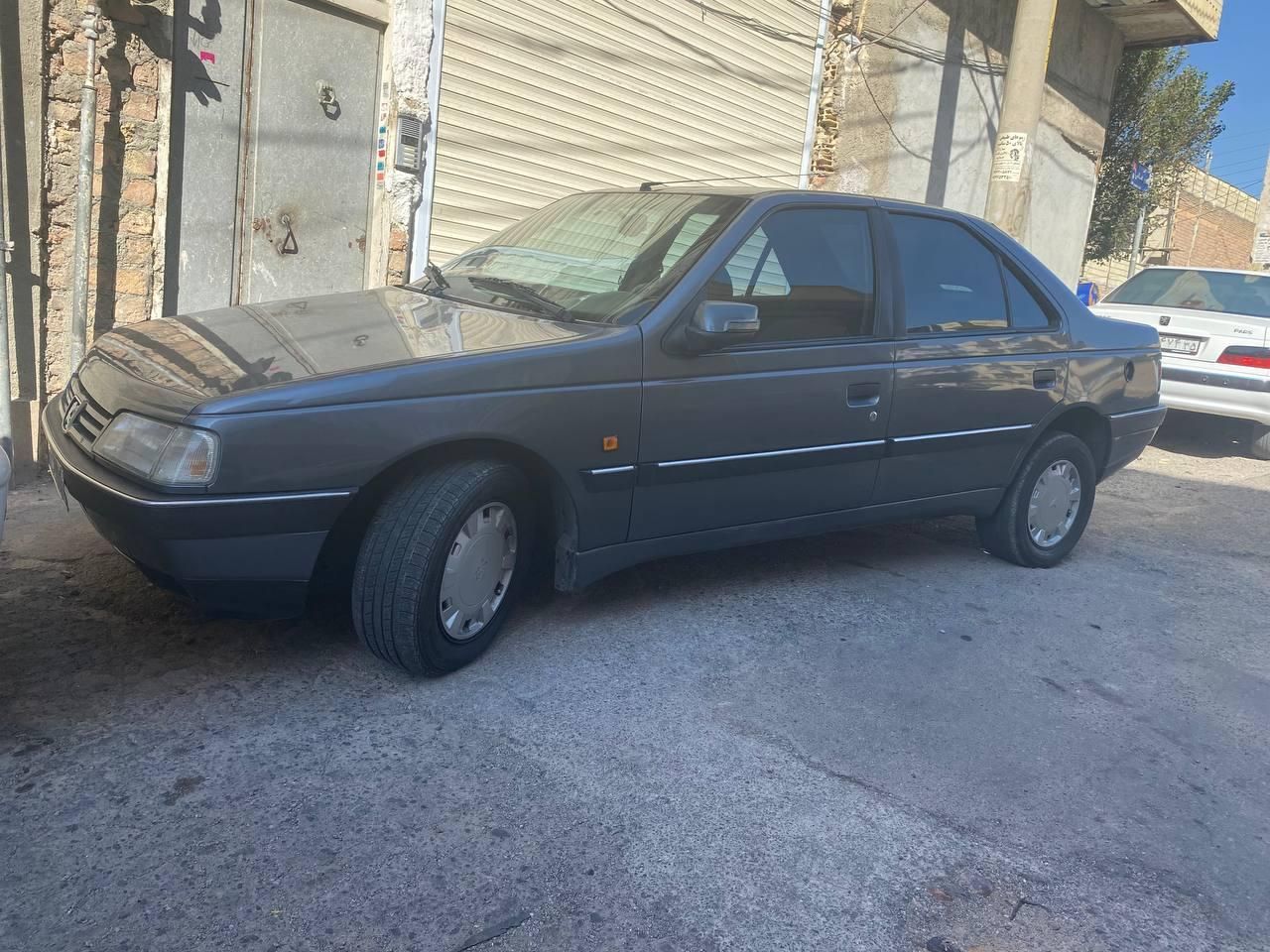 پژو 405 GL - دوگانه سوز LPG - 1393