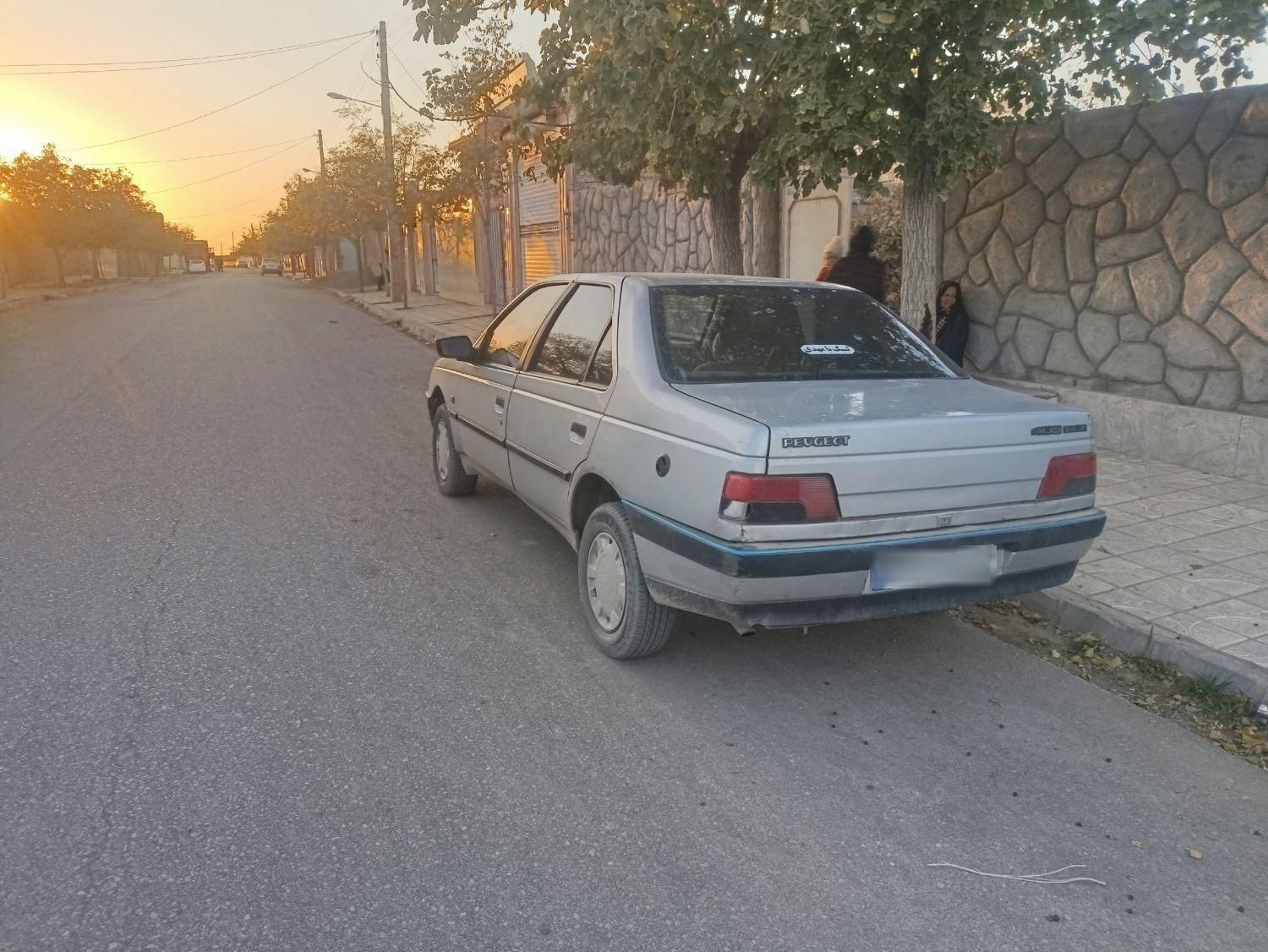 پژو 405 GL - دوگانه سوز CNG - 1390